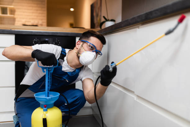 Wasp Removal Services in Lake Kerr, FL