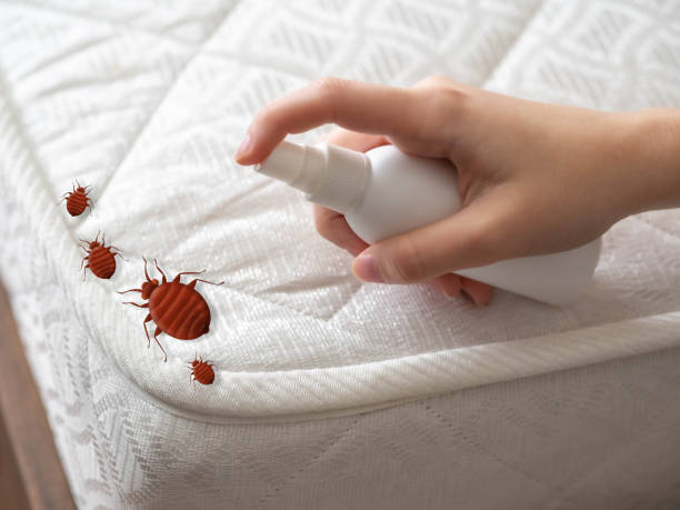 Reliable Lake Kerr, FL Pest Control Solutions